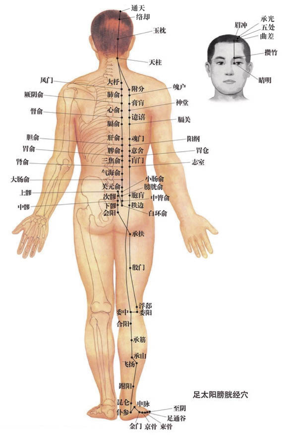 古典針灸基礎班